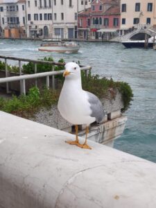 0 02 05 ad5cae8677392e4f25b9cf2ae4528e63cb920cbefb1288871ecab6d22bd6101e 45dc36297404573f